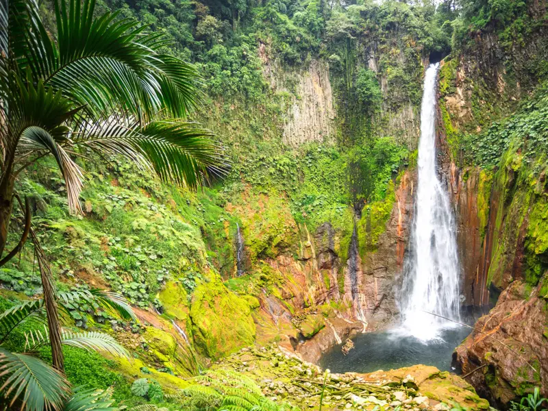 Der spektakuläre Catarata del Toro Wasserfall in Costa Rica stürzt in einen von üppigem Dschungel umgebenen Vulkankrater.
