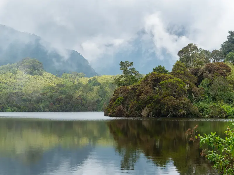 Mystische Spiegelung des dichten Regenwaldes im ruhigen Mahoma-See vor den nebligen Gipfeln des Ruwenzori-Gebirges.