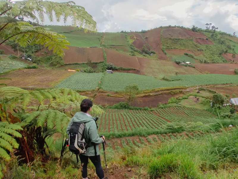 Wanderer mit Rucksack blickt bei einer Trekking-Tour auf den Philippinen über weite, landwirtschaftliche Terrassenfelder in Luzon.