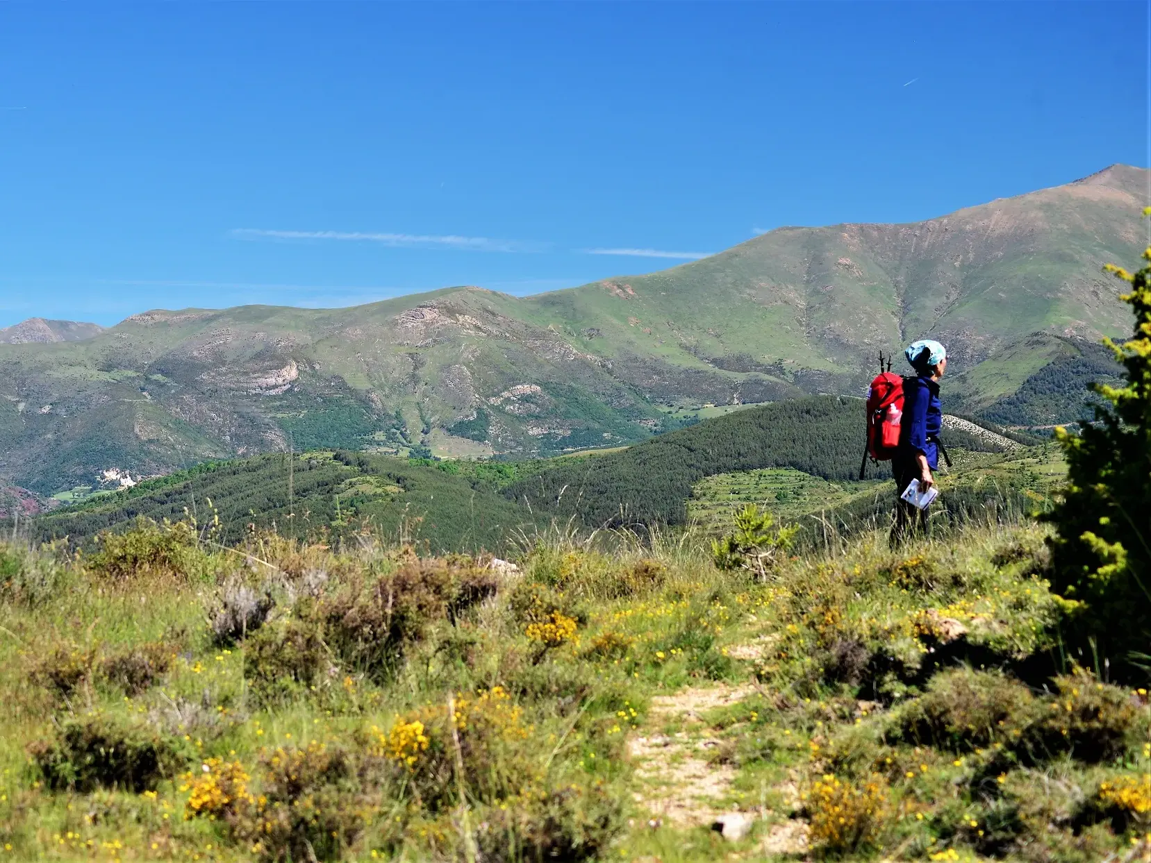 Wanderin mit rotem Rucksack pausiert auf einem blühenden Pfad mit Blick auf die weite Berglandschaft der südlichen Pyrenäen.