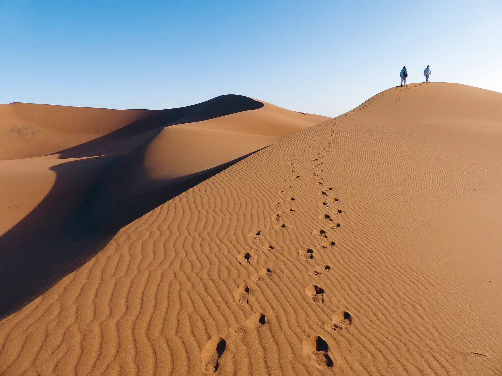 Zwei Wanderer auf dem Kamm einer goldgelben Sanddüne blicken über das Dünenmeer der Sahara in Marokko.