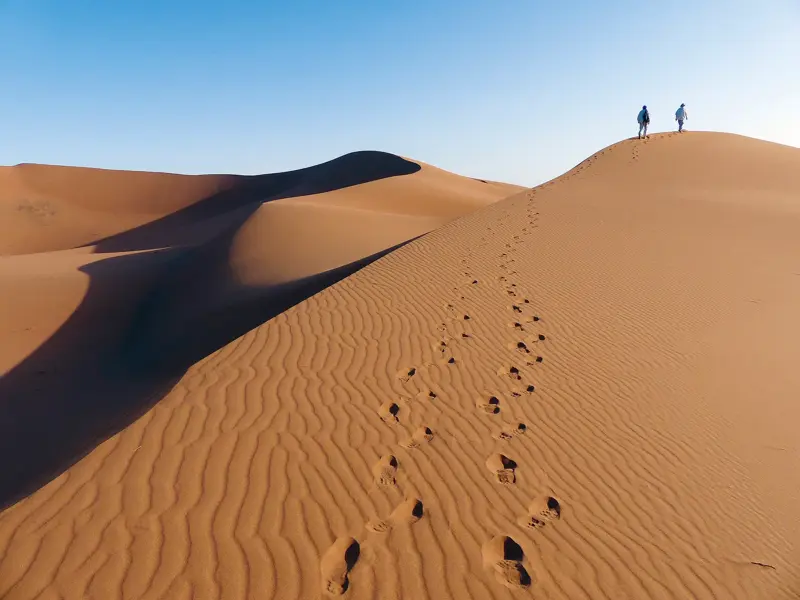 Zwei Wanderer auf dem Kamm einer goldgelben Sanddüne blicken über das Dünenmeer der Sahara in Marokko.