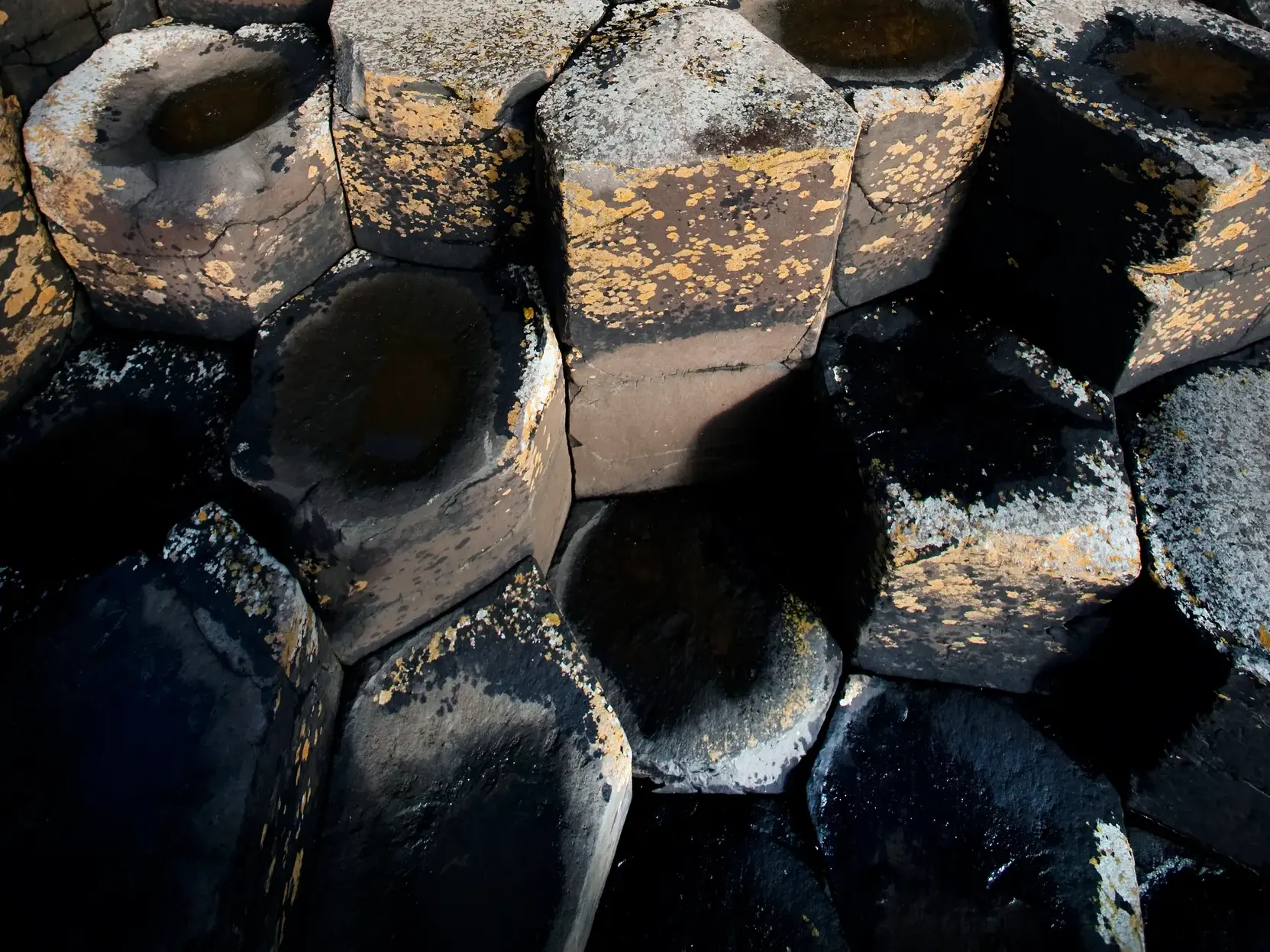 Detailansicht der markanten, nassen Basaltorgeln am Giant's Causeway, einem UNESCO-Welterbe in Nordirland.