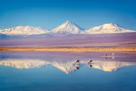 Rosa Flamingos waten in der Laguna Verde, während sich der schneebedeckte Vulkan Licancabur im ruhigen Wasser spiegelt.