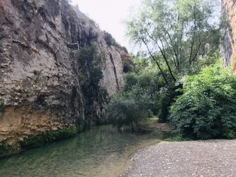 Glasklarer Río Verde in einer Felsenschlucht der Sierra de Guara mit einem Kiesufer und üppig grünen Bäumen in Aragonien.
