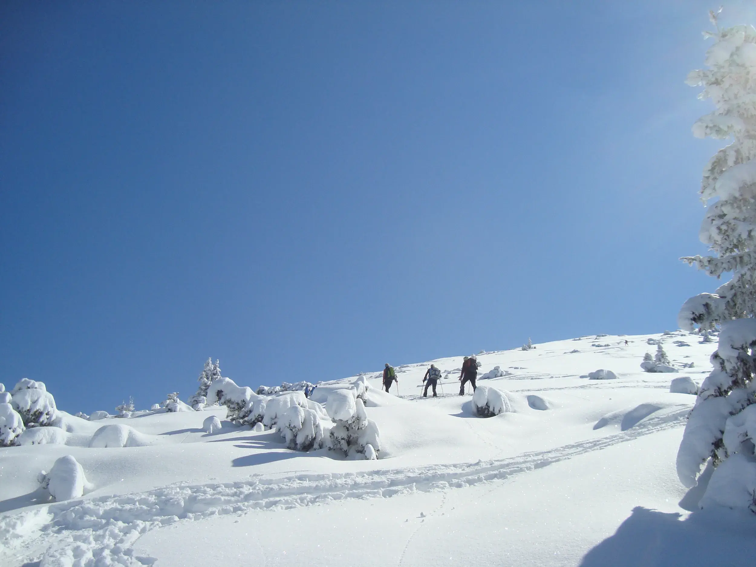 Trekking-Gruppe bei einer Schneeschuhwanderung auf einem sonnigen, tief verschneiten Hang im winterlichen Karwendel.