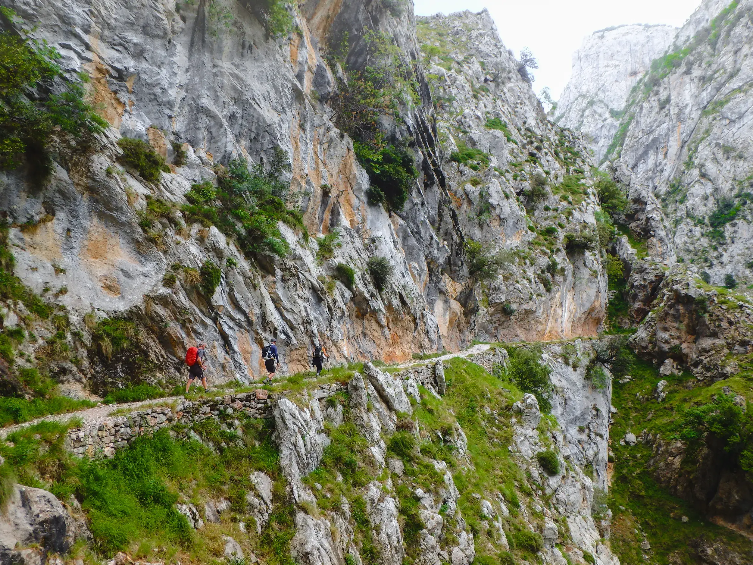 Wandergruppe beim Trekking auf einem schmalen, in die Felswand gehauenen Pfad in einer tiefen Schlucht der Picos de Europa.