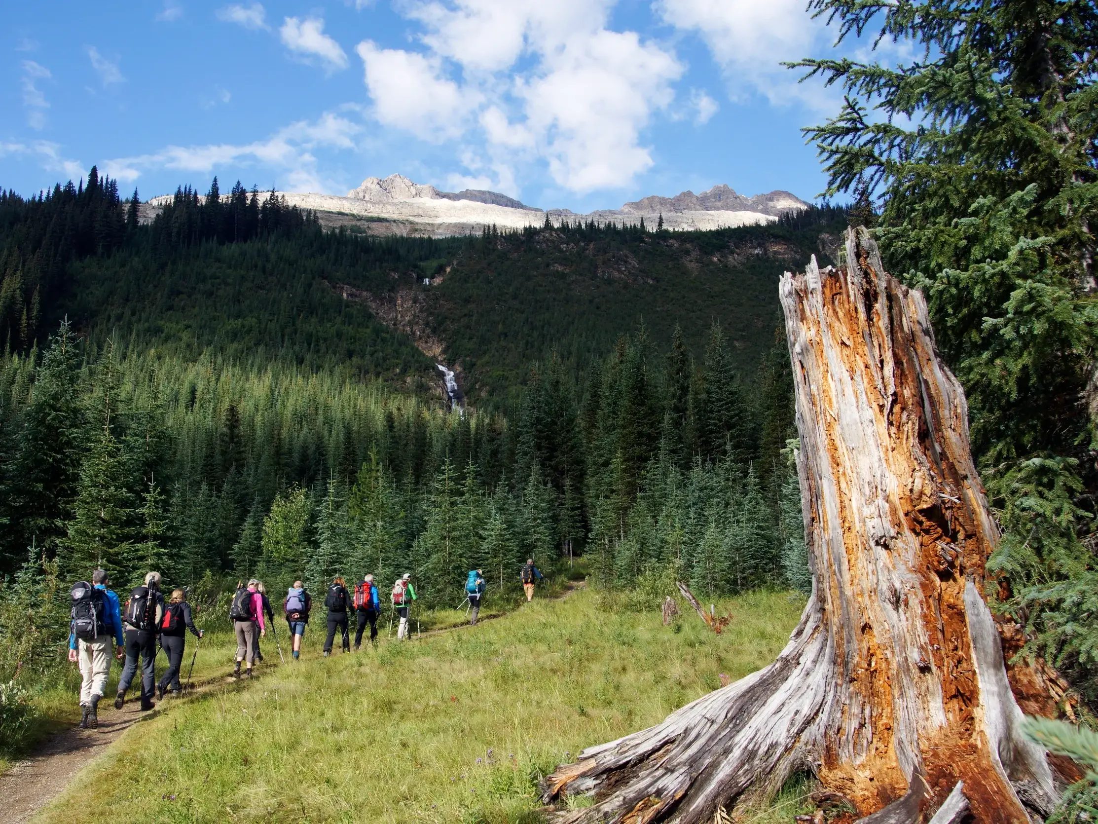 Eine Wandergruppe auf dem Iceline Trail im Yoho-Nationalpark mit Blick auf die schneebedeckten Gipfel der Rocky Mountains.