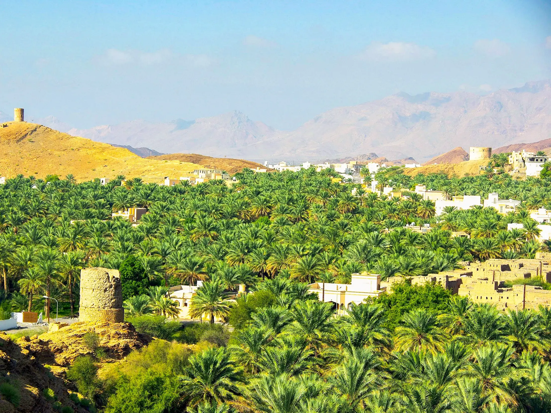 Weitläufiger Palmenhain in der Oasenstadt Nizwa im Oman, umgeben von alten Wachtürmen und dem felsigen Hadschar-Gebirge.