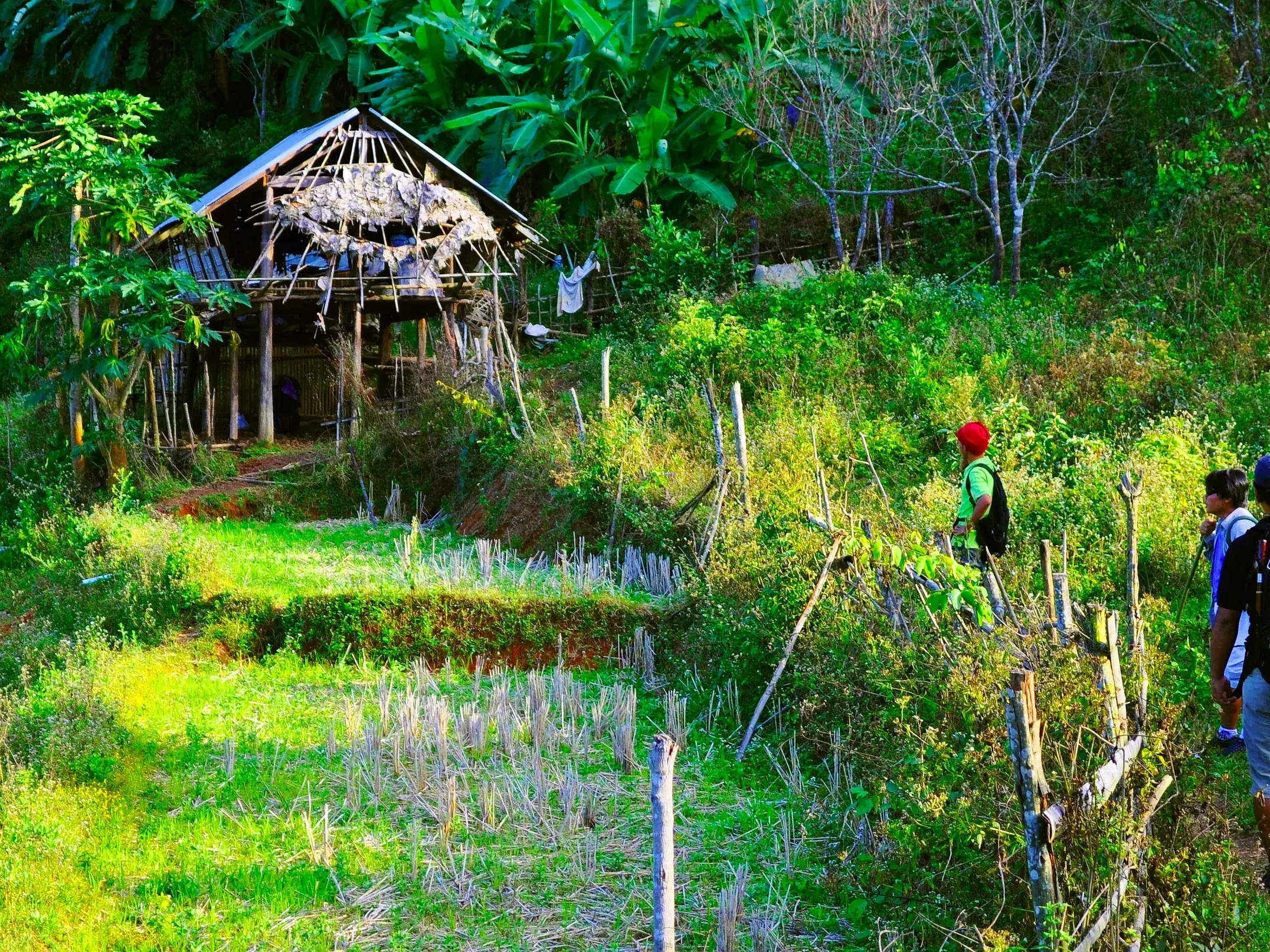 Eine kleine Reisegruppe beim Trekking im Norden Thailands wandert auf einem Pfad an einer Bambushütte auf Stelzen vorbei.