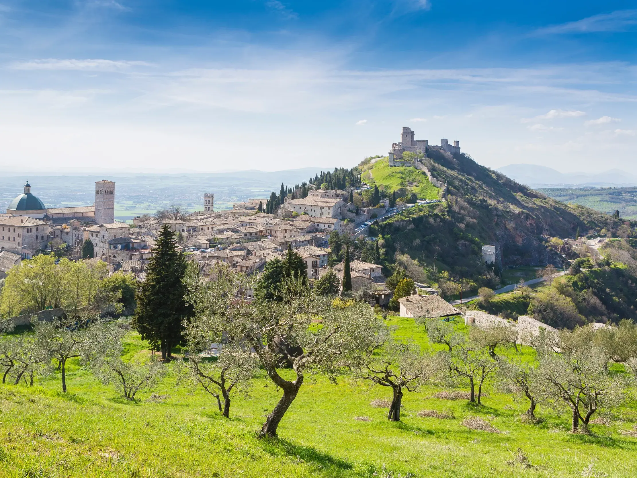 Malerischer Blick über Olivenhaine auf die Pilgerstadt Assisi mit der Basilika des heiligen Franz von Assisi in Umbrien.