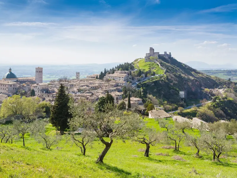 Malerischer Blick über Olivenhaine auf die Pilgerstadt Assisi mit der Basilika des heiligen Franz von Assisi in Umbrien.