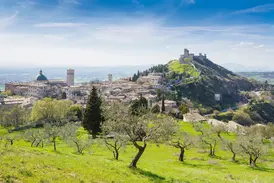 Malerischer Blick über Olivenhaine auf die Pilgerstadt Assisi mit der Basilika des heiligen Franz von Assisi in Umbrien.