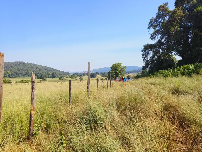 Eine Wandergruppe auf einem Pfad durch hohes Gras in der sonnigen Hügellandschaft der Loita Hills in Kenia.