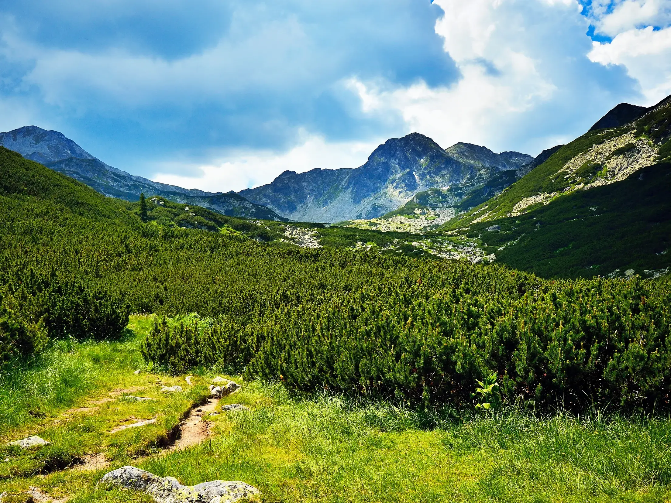 Ein schmaler Wanderweg schlängelt sich durch ein üppig grünes Tal in den rumänischen Ostkarpaten unter dramatischem Wolkenhimmel.