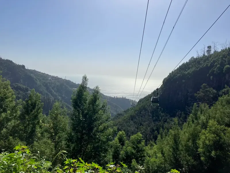 Fahrt mit der Seilbahn nach Monte über ein dicht bewaldetes Tal mit weitem Ausblick auf Funchals Küste und den Atlantik.