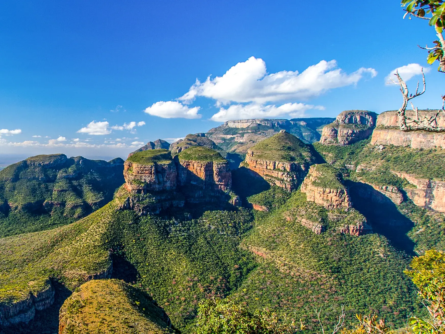 Ein Höhepunkt der Rundreise durch Südafrika - der Weitblick von der Panoramaroute auf die berühmten Drei Rondavels im tiefen, grünen Blyde River Canyon in Südafrika.