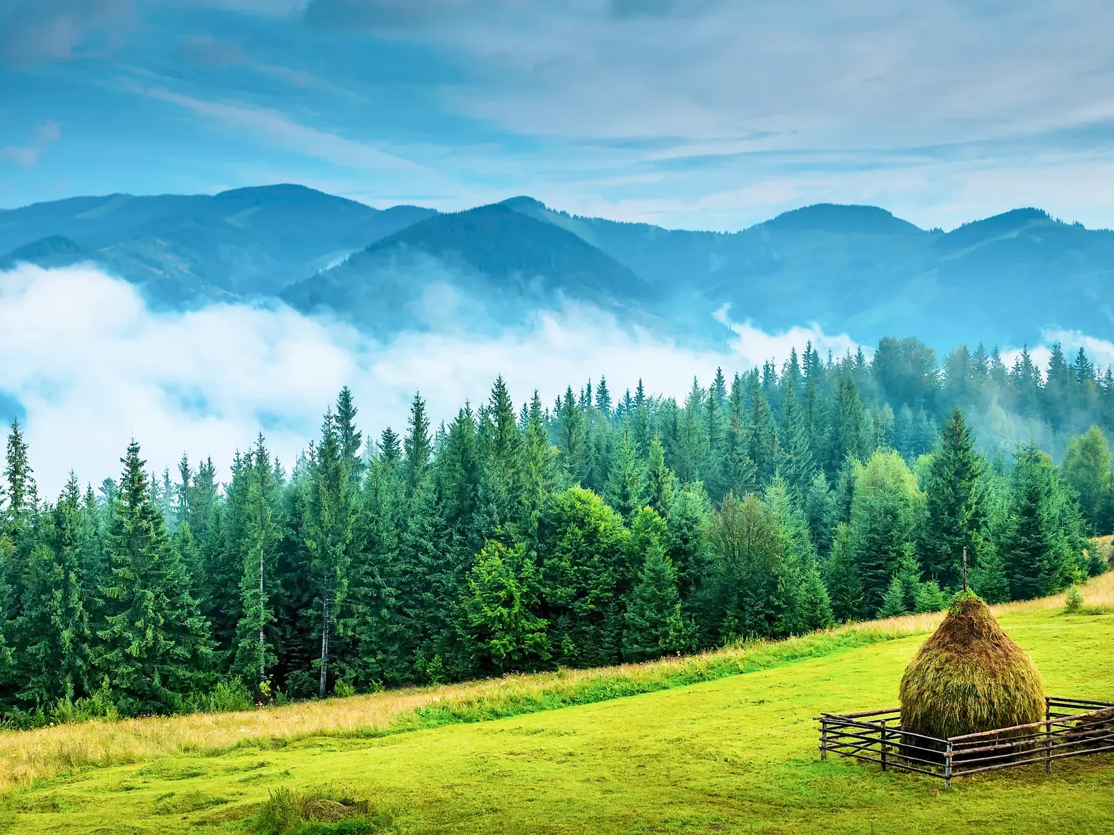 Heuschober auf einer saftig grünen Wiese in den Ostkarpaten vor einer malerischen Bergkulisse bei einer Rumänien-Rundreise.