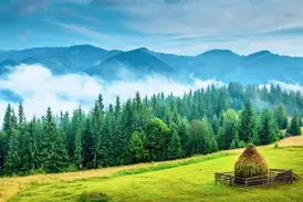 Heuschober auf einer saftig grünen Wiese in den Ostkarpaten vor einer malerischen Bergkulisse bei einer Rumänien-Rundreise.