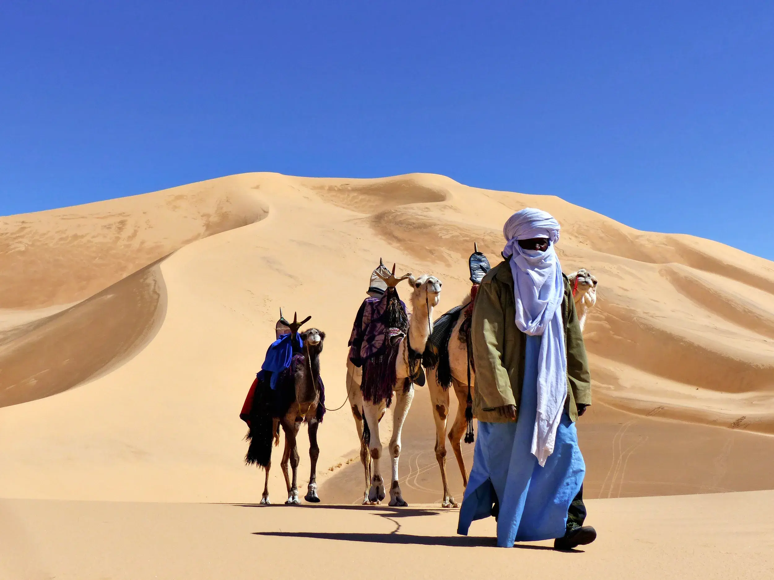 Ein einheimischer Tuareg-Führer leitet eine Kamelkarawane bei einem Trekking durch die weiten Sanddünen des Erg Admer.