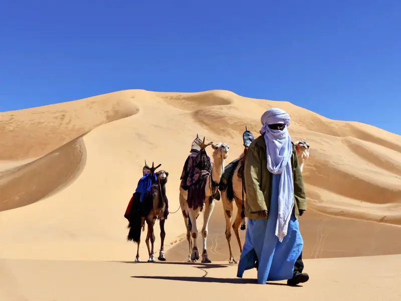 Ein einheimischer Tuareg-Führer leitet eine Kamelkarawane bei einem Trekking durch die weiten Sanddünen des Erg Admer.