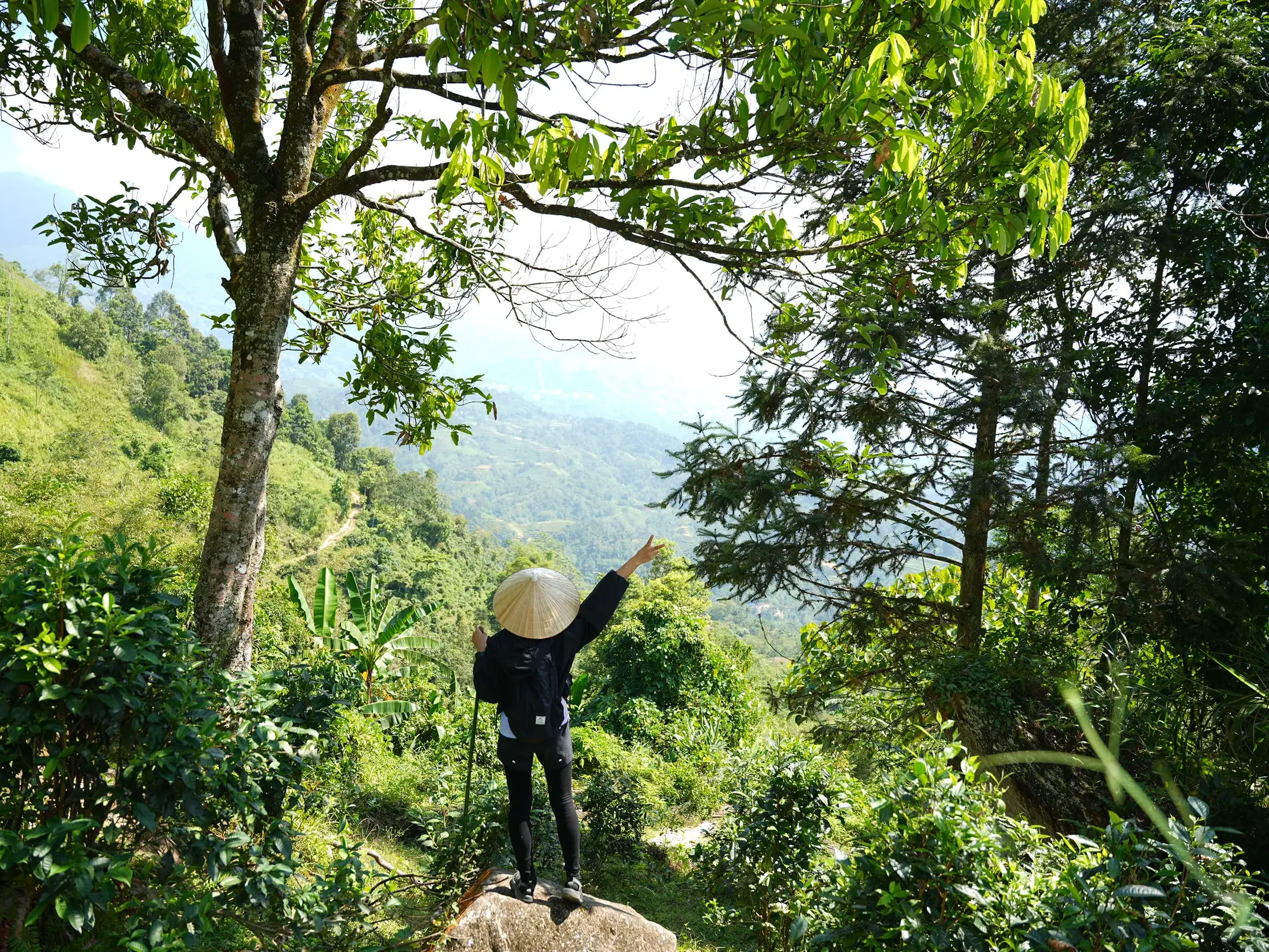 Eine Hauser-Reiseteilnehmerin mit Kegelhut und Trekkingstock blickt auf die grüne Berglandschaft bei Hoang Su Phi in Vietnam.