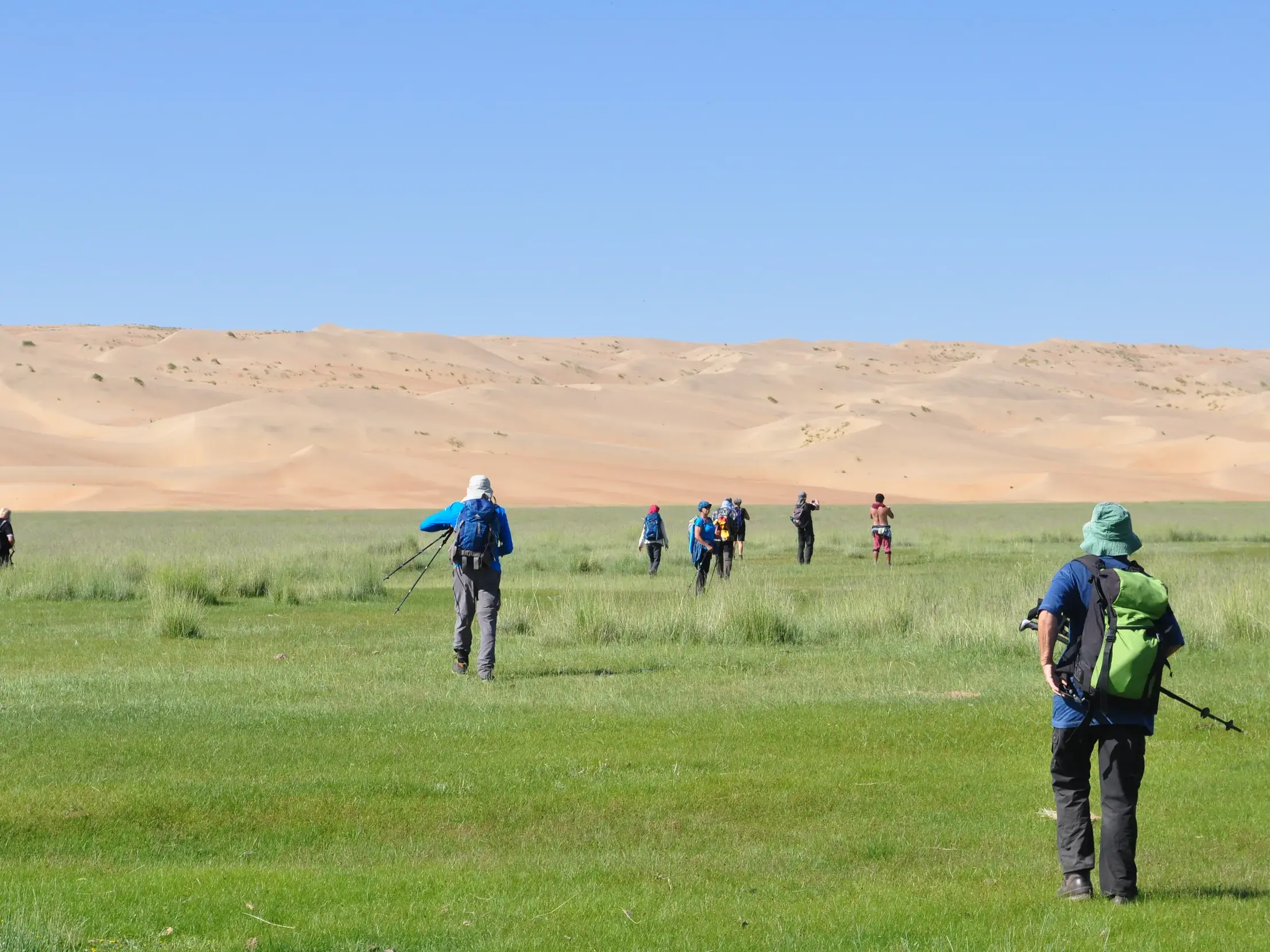 Eine Hauser-Trekkinggruppe wandert durch eine grüne Steppe auf die riesigen Sanddünen von Mongol Els in der Mongolei zu.