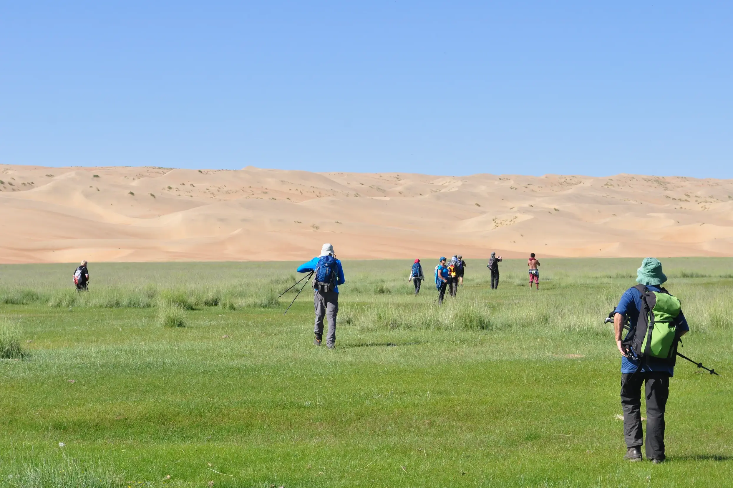 Eine Hauser-Trekkinggruppe wandert durch eine grüne Steppe auf die riesigen Sanddünen von Mongol Els in der Mongolei zu.