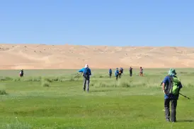 Eine Hauser-Trekkinggruppe wandert durch eine grüne Steppe auf die riesigen Sanddünen von Mongol Els in der Mongolei zu.
