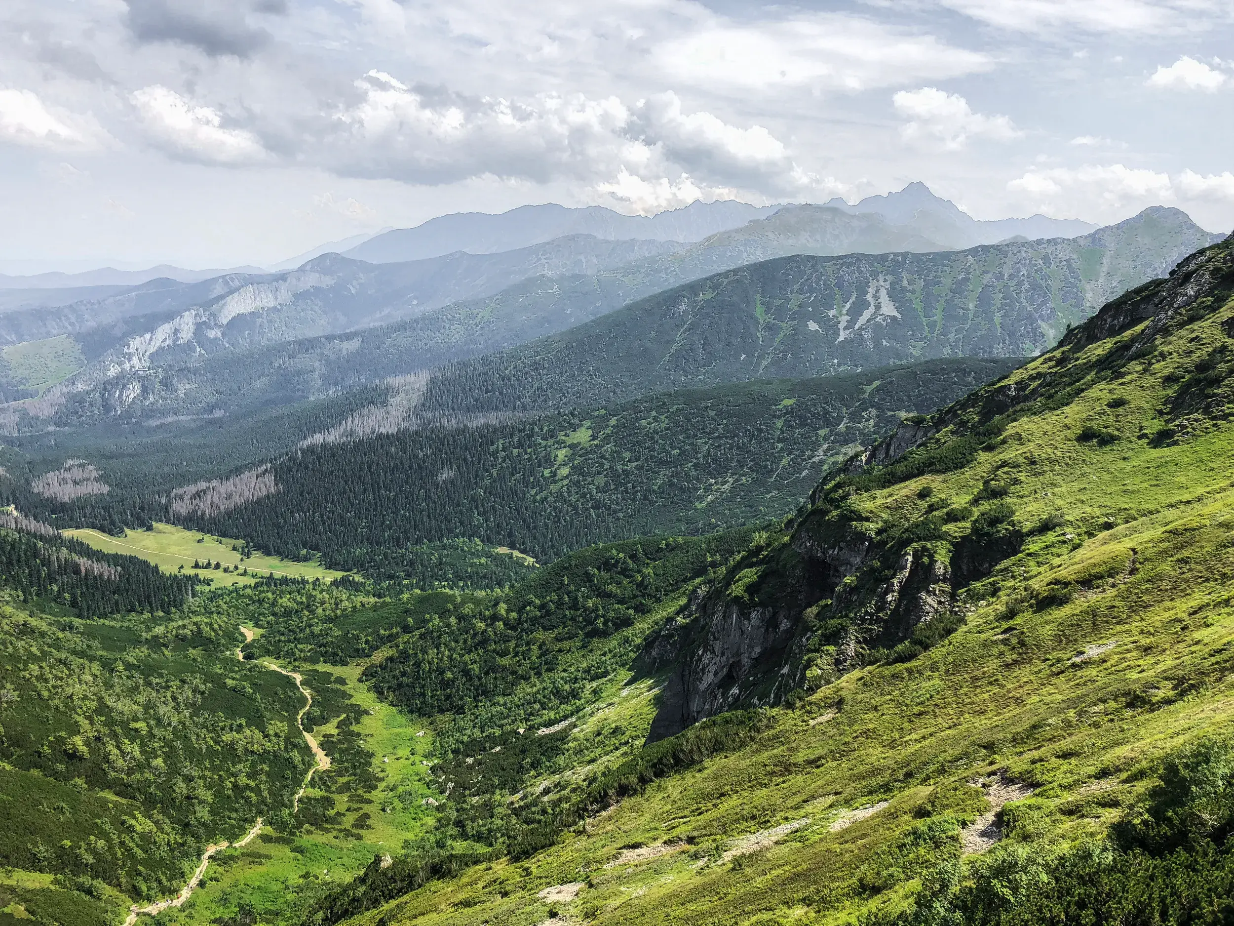 Atemberaubender Panoramablick von einem Gipfel in der Hohen Tatra über ein grünes Tal mit Wanderweg und bewaldete Berge.