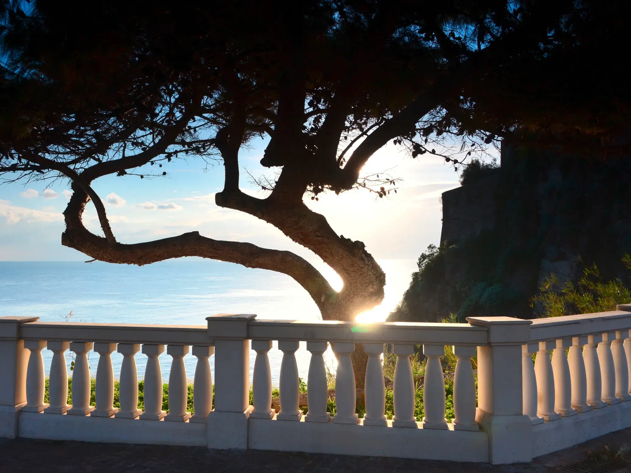 Knorrige Pinie als Silhouette an einer weißen Balustrade in Taormina mit Blick auf das glitzernde Mittelmeer bei Sonnenuntergang.
