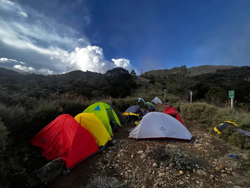 Bunte Trekking-Zelte eines Camps am Hang im Mt. Pulag Nationalpark auf Luzon bei einer Hauser Wanderreise.
