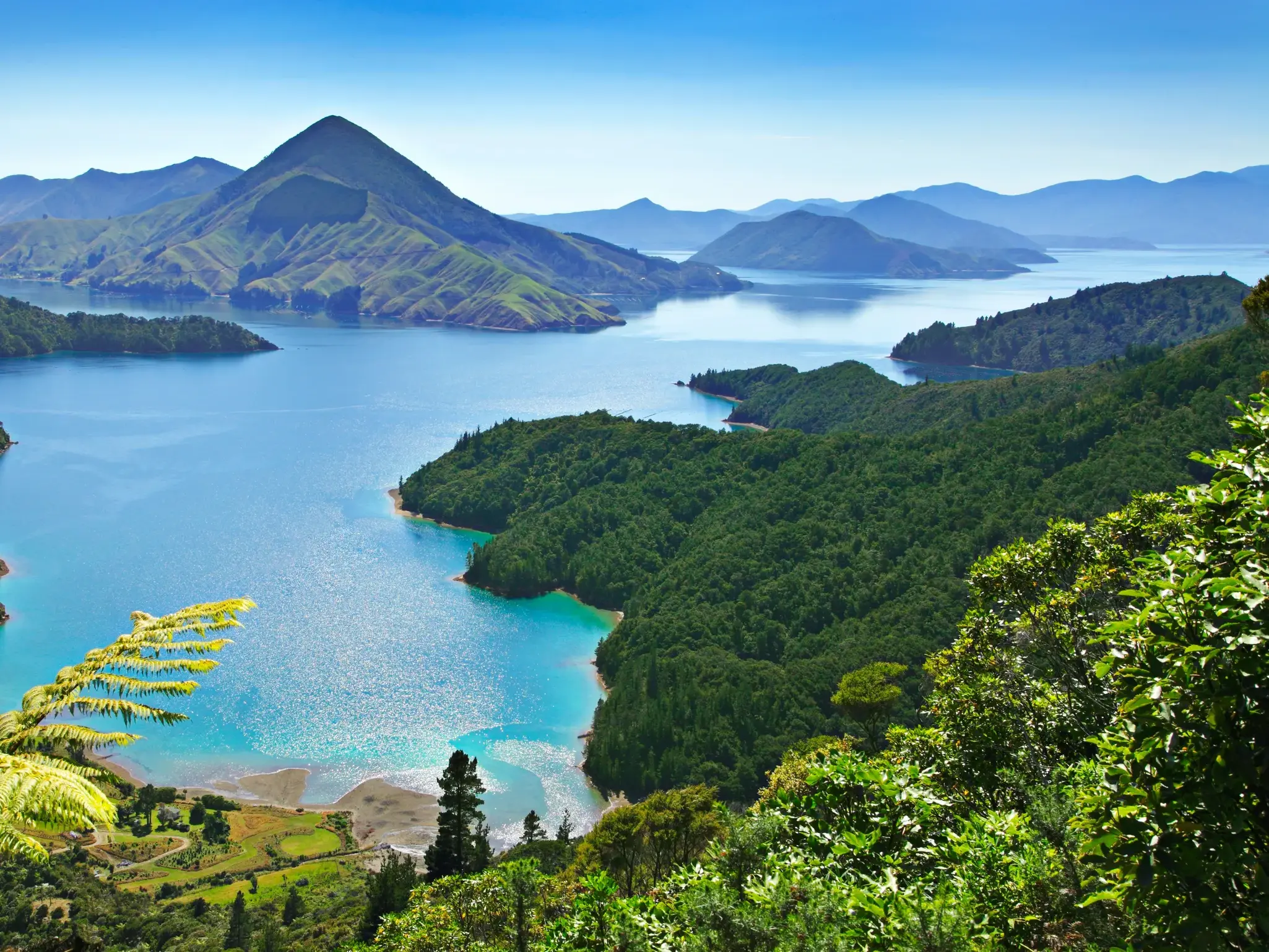 Erhöhter Ausblick auf die türkisblauen Wasserwege und die bewaldeten Berge der Marlborough Sounds auf Neuseelands Südinsel.