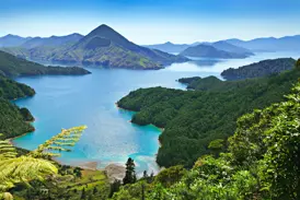 Panoramablick auf die türkisfarbenen Buchten und bewaldeten Hügel des Queen Charlotte Sound auf einer Wanderreise in Neuseeland.