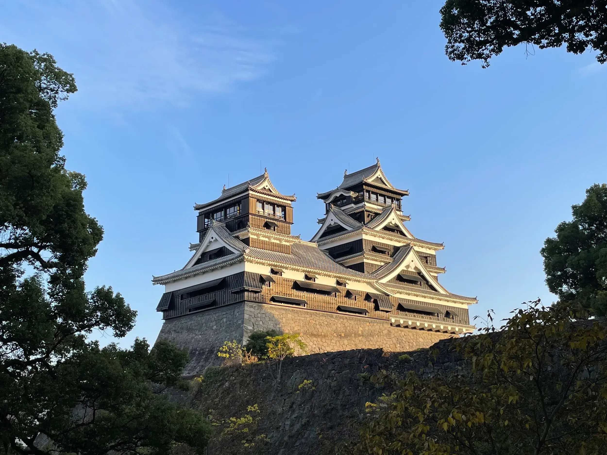 Die imposante Burg Kumamoto auf ihrem Steinfundament, umrahmt von Baumwipfeln vor klarem, blauem Himmel.