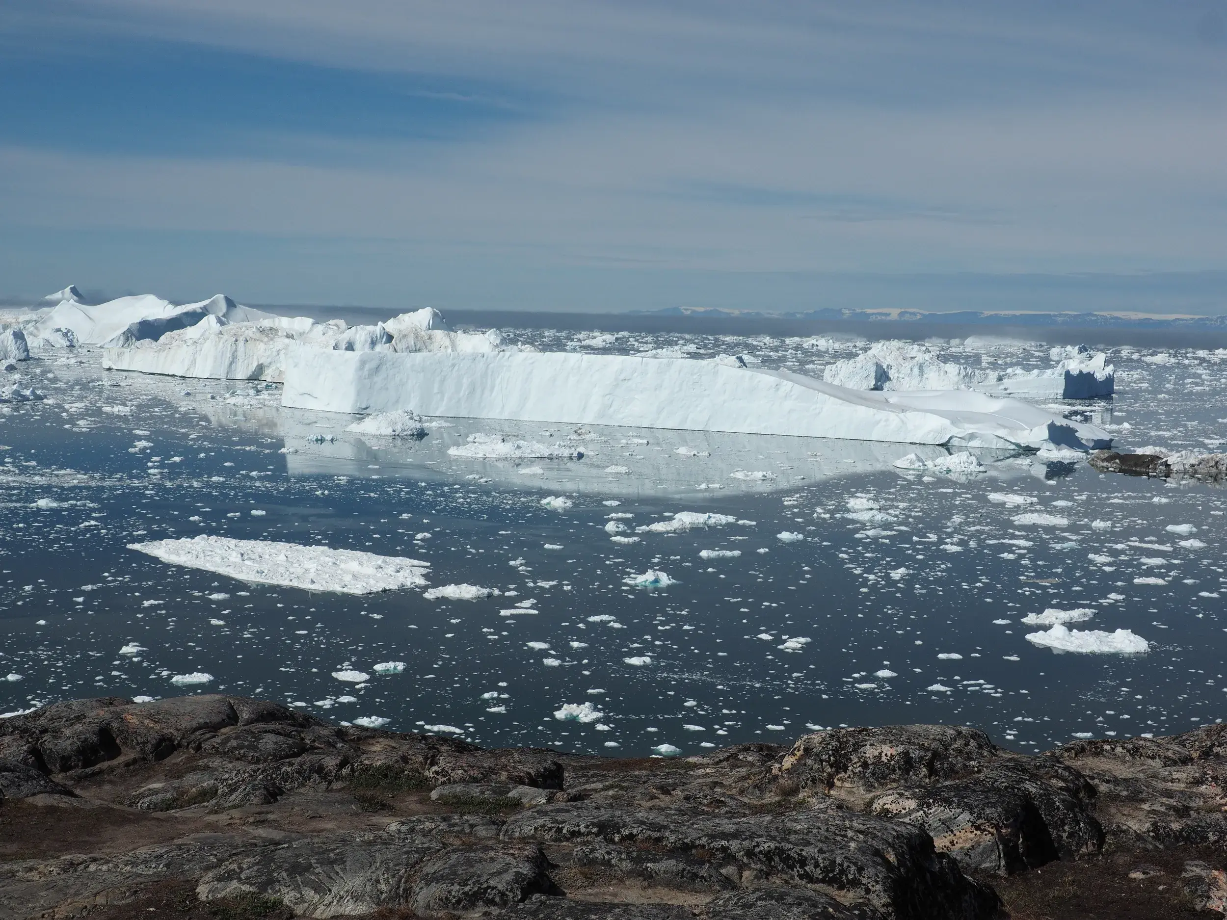Wanderung in Westgrönland: Ausblick von der felsigen Küste auf die gewaltigen Eisberge im weltberühmten Ilulissat-Eisfjord.
