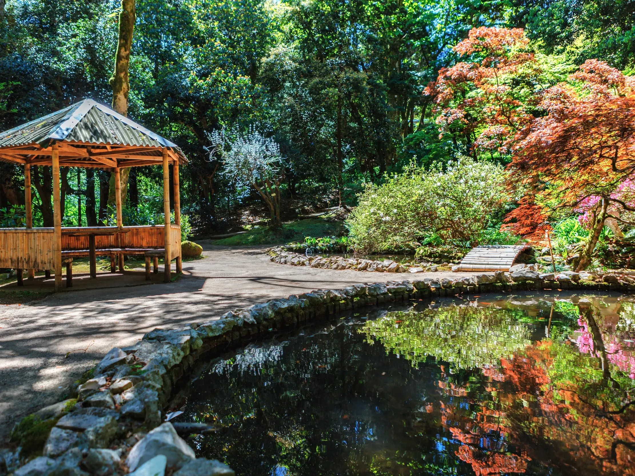 Idyllischer Holzpavillon am Teich im Botanischen Garten Batumi, dessen ruhiges Wasser die farbenfrohen Bäume reflektiert.