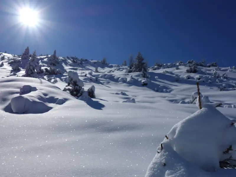 Eine unberührte, hügelige Schneelandschaft im Naturpark Karwendel glitzert unter der strahlenden Wintersonne.