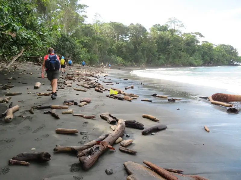 Eine Hauser-Wandergruppe beim Trekking an einem von Treibholz bedeckten Sandstrand im Corcovado-Nationalpark in Costa Rica.