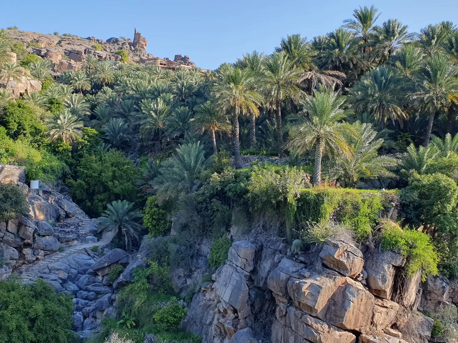 Ein Steinweg führt hinab in die grüne Palmenoase des malerischen Bergdorfs Misfat Al Abreyeen im Hadschar-Gebirge im Oman.