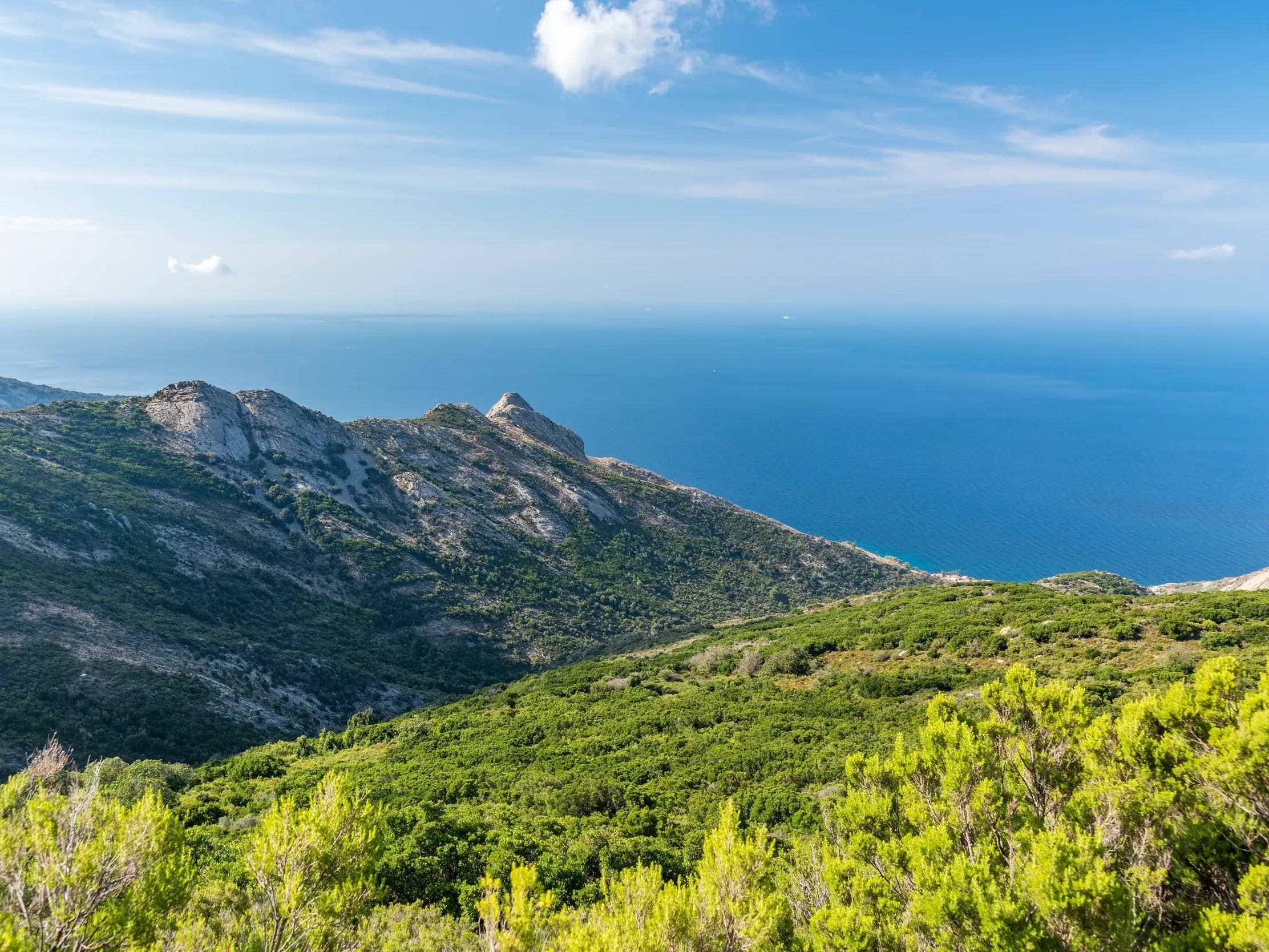 Spektakuläre Aussicht beim Trekking auf Elba über die grüne Küstenlandschaft mit Macchia und Felsen bis zum blauen Mittelmeer.