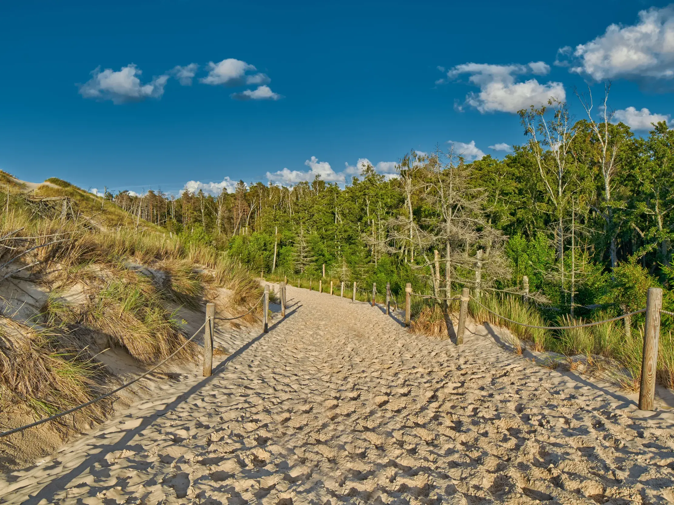 Ein sandiger Wanderweg führt durch grasbewachsene Dünen im Słowiński-Nationalpark an der polnischen Ostseeküste.