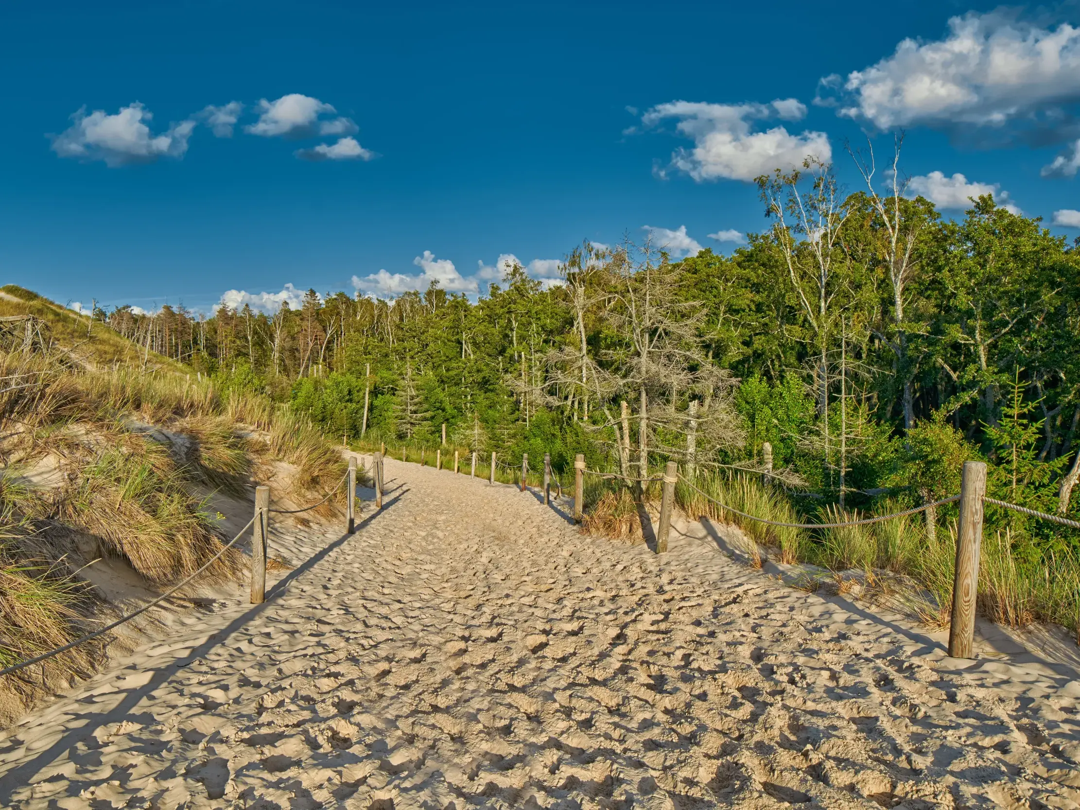 Ein sandiger Wanderweg, gesäumt von Holzpfosten, führt durch die grasbewachsenen Dünen des Słowiński-Nationalparks in Polen.