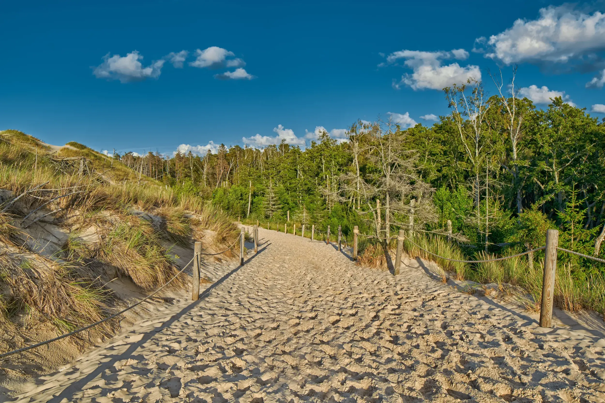 Ein sandiger Wanderweg, gesäumt von Holzpfosten, führt durch die grasbewachsenen Dünen des Słowiński-Nationalparks in Polen.