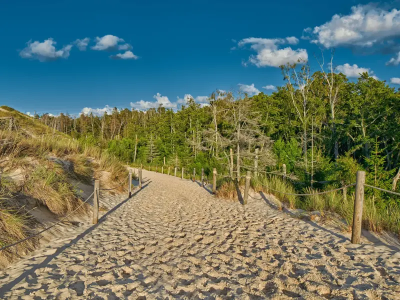 Ein sandiger Wanderweg, gesäumt von Holzpfosten, führt durch die grasbewachsenen Dünen des Słowiński-Nationalparks in Polen.