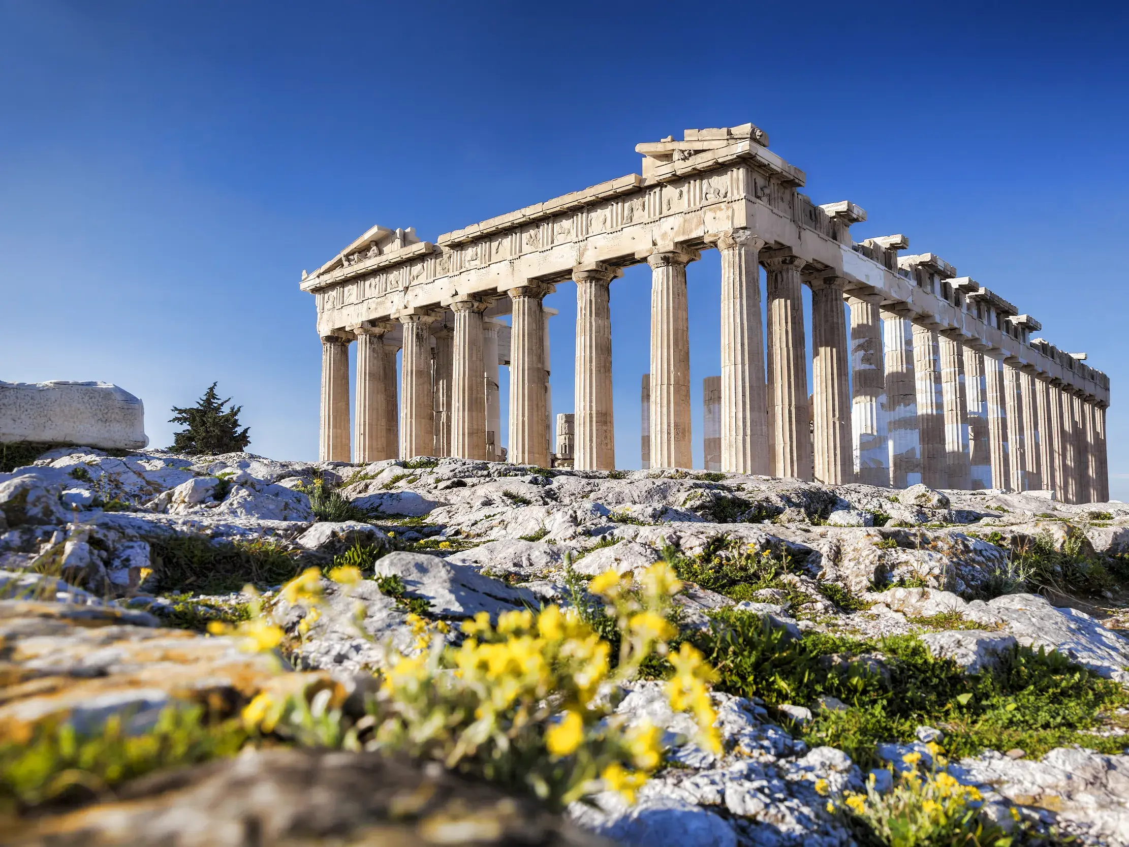 Die strahlende Akropolis von Athen an einem sonnigen Tag mit Blick auf den Parthenon-Tempel und gelbe Wildblumen.