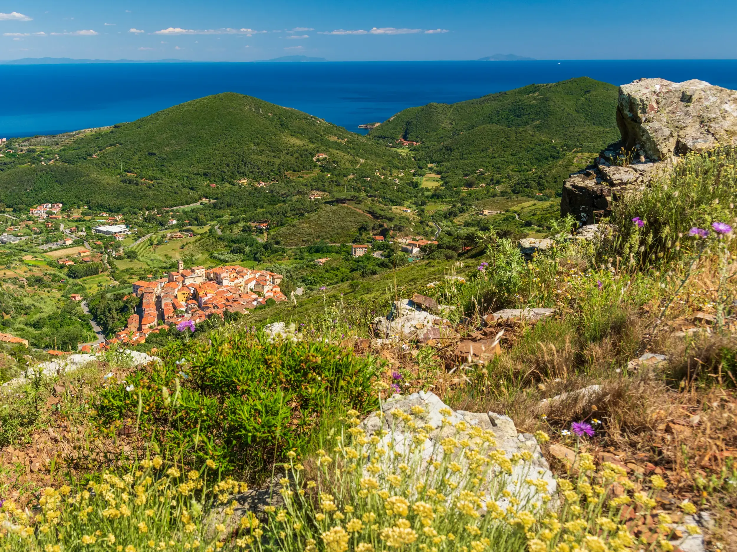 Panoramablick beim GTE-Trekking auf Elba: Wildblumen im Vordergrund, ein Küstendorf im Tal und das weite Mittelmeer.