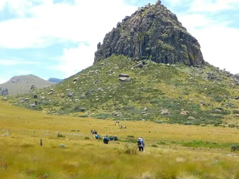 Eine Trekkinggruppe wandert auf einem Pfad durch das weite Moorland des Aberdare-Nationalparks in Kenia zum Satima Peak.