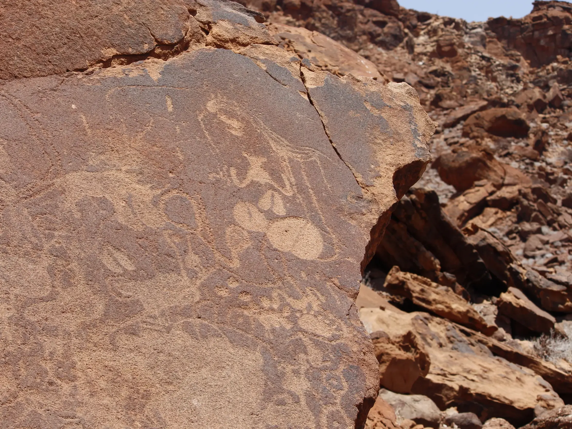 Rote Felswand mit steinzeitlichen Gravuren von Tieren und Menschen in der UNESCO-Stätte Twyfelfontein im Damaraland, Namibia.