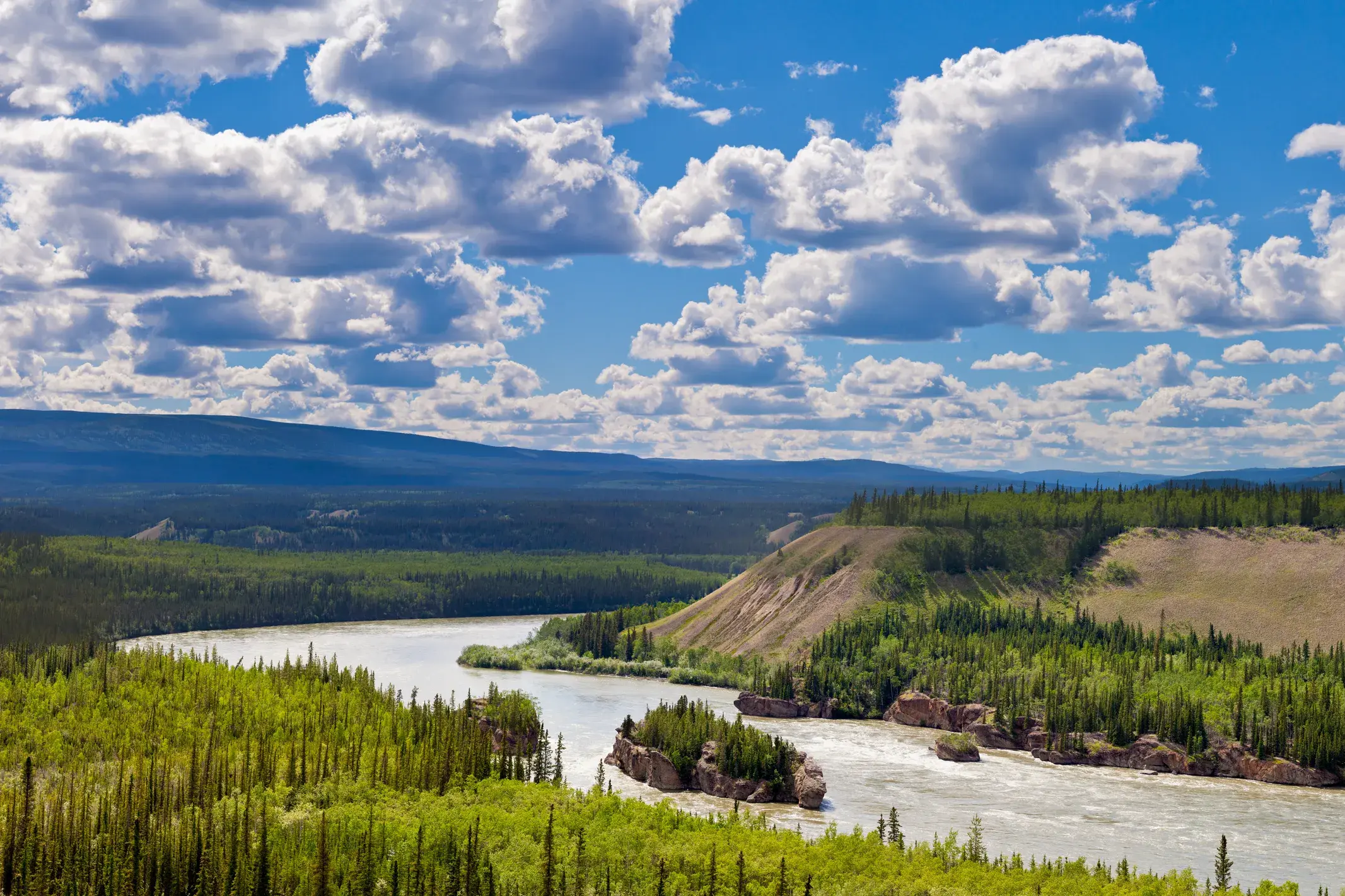 Panoramablick auf den breiten Yukon River, der sich durch grüne Wälder und Hügel in Kanadas unberührter Wildnis schlängelt.